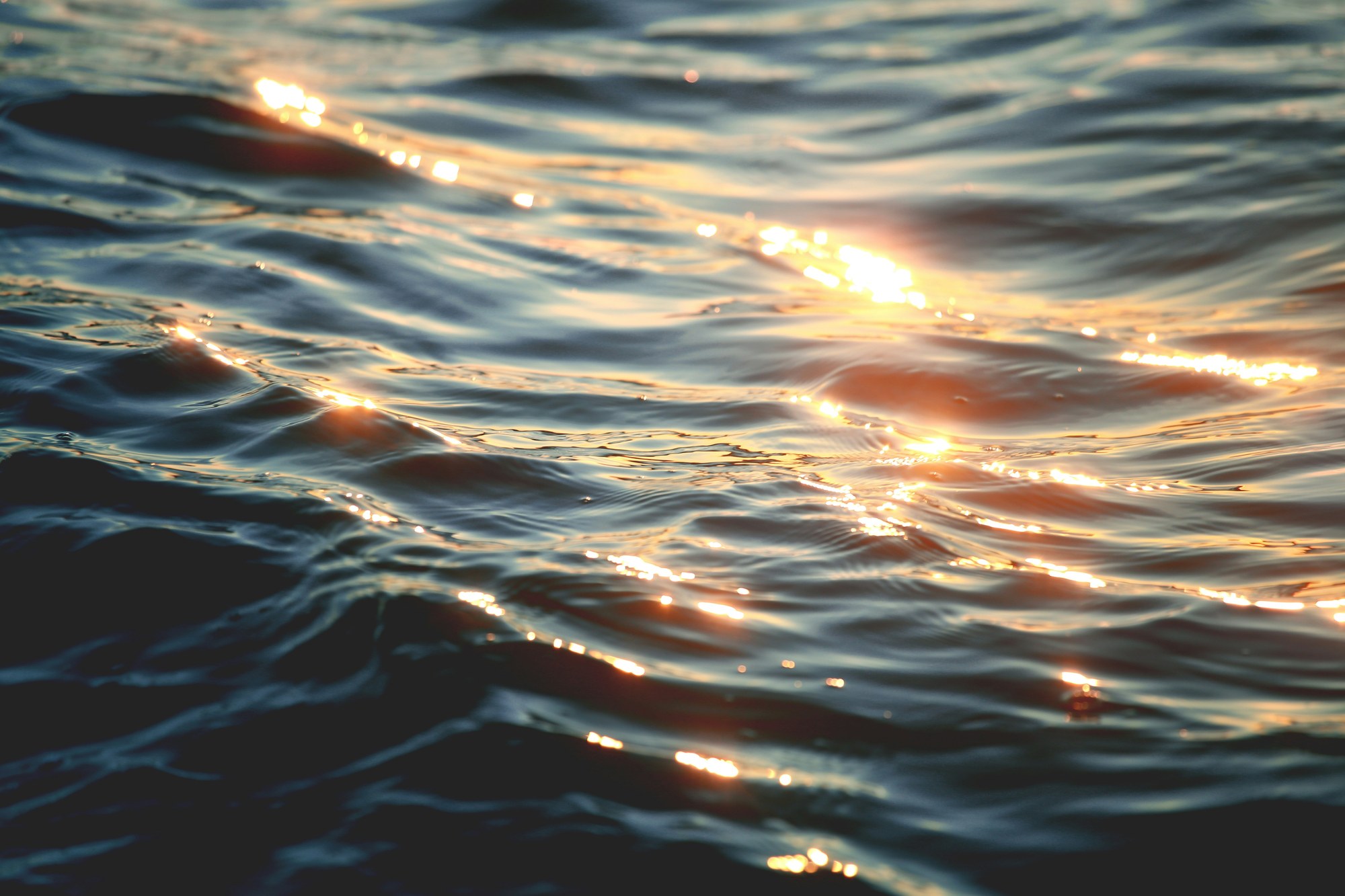 Golden sunlight reflecting across ripples of blue water.